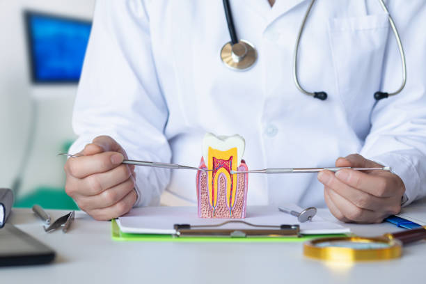 Best Pediatric Emergency Dentist in Conrad, MT